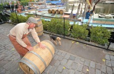 Google's 'do a barrel roll' will make you smile