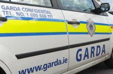 Garda awarded €20,000 after breaking big toe and losing thumbnail wrestling violent prisoner