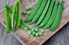 Grow your own peas at home - it's easy and the kids will love it