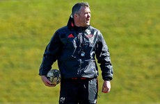 Foley wants Munster director of rugby who 'has his own opinions'