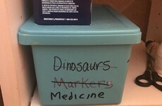 Here's what went viral today: Tuesday