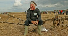 First day of Ploughing Championships: In photos