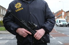 Gardaí say they'd 'run around like headless chickens' in the event of a terrorist attack