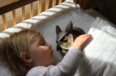 This little girl's friendship with a plastic lawn owl has delighted the internet