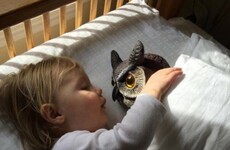 This little girl's friendship with a plastic lawn owl has delighted the internet