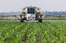 Should we be worried that this controversial weedkiller will be used for seven more years?