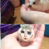 Someone used the Snapchat filter on their hamster and it's adorable