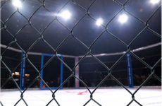 Sport Ireland vows to work with Government to regulate MMA in Ireland
