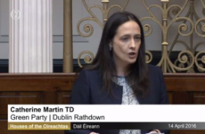 'TDs are not elected to be silent' - Green Party deputy gives impassioned maiden Dáil speech