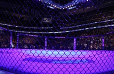 International MMA chiefs call for sport to be recognised in Ireland and regulated properly