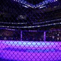 International MMA chiefs call for sport to be recognised in Ireland and regulated properly