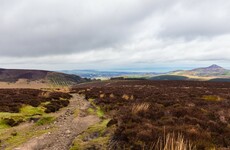 Walker who fell and cut her knee while hiking Wicklow Way wins €40k in damages
