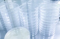 Families to sue sperm bank after being given donations from convicted felon