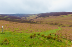 Farmers say €40,000 hill walker judgement a "serious concern"