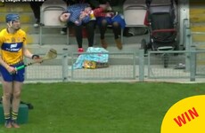The cameras at the hurling in Thurles caught an excellent parenting moment