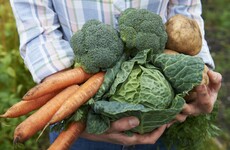 Howya head - how about some cabbage?