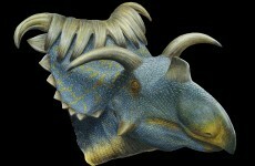 15-horned dinosaur discovered in Utah