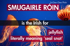 8 Irish words and phrases that English just can't match