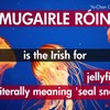 8 Irish words and phrases that English just can't match