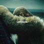 Beyoncé just dropped her new album and the internet is freaking out