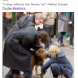 Cumberbatch just filmed Sherlock scenes with an amazing dog... It's The Dredge