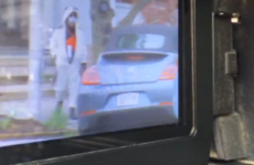 Man in panda suit shot after threatening to blow up TV station