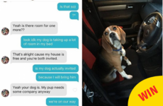 A teen brought her dog to a Tinder date and Facebook was enthralled