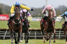 Willie Mullins' Whiteout stuns much-fancied stablemate at Punchestown