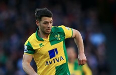 Controversial Wes Hoolahan substitution and more Premier League talking points