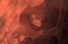 Jamie Vardy waited for the perfect moment to reply to Harry Kane's 'lion' message