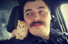 Take a break and check out this police officer's new partner