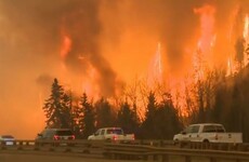 Entire city evacuated after wildfire burns homes to the ground