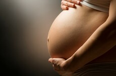 "In theory you could do anything you wanted with a human embryo in Ireland"