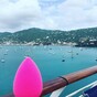 People love their blending sponges so much, they made this bizarre Instagram meme