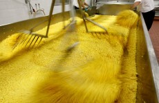 Irish cheese tests positive for E.coli in South Africa