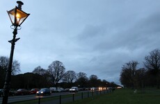 Cyclist who crashed into pedestrian in Phoenix Park dies in hospital