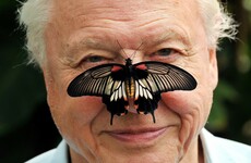 Bad news for 'Boaty McBoatface' fans, good news for people who like David Attenborough