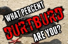What Percent Durtburd Are You?