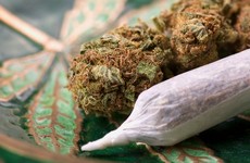 Study shows marijuana users twice as likely to give birth prematurely
