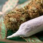 Study shows marijuana users twice as likely to give birth prematurely