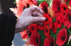 Column: Is it time to start wearing the poppy?