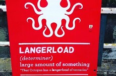 These spray-painted definitions of Cork slang words have popped up all over the city