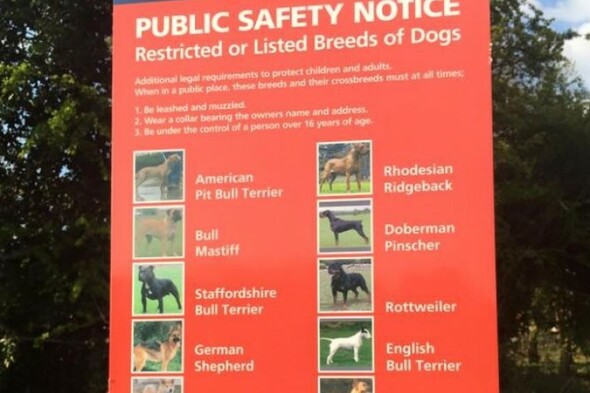 what is a restricted dog in edmonton