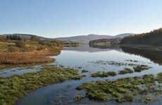Search to resume for man last seen at Wicklow lake