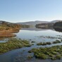 Search to resume for man last seen at Wicklow lake