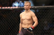 TJ Dillashaw to begin journey back to title contention with revenge mission at UFC 200