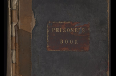 Poverty, manslaughter and stealing apples: police records shed light on Dublin 100 years ago