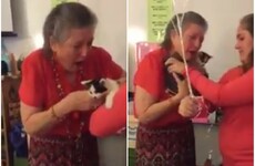 These students surprised their teacher with two kittens after finding out her cat had died