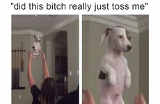 Here's what went viral today: Saturday