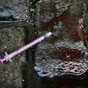Poll: Should there be a minister solely focused on tackling drugs?